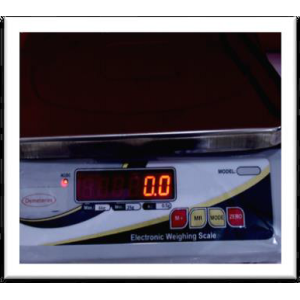 Digital Electronic Balance (0-6000g/0.5g)